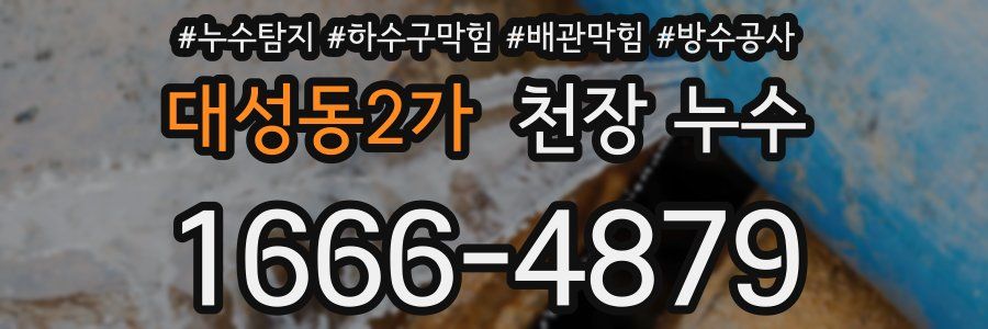 대성동2가 천장 누수