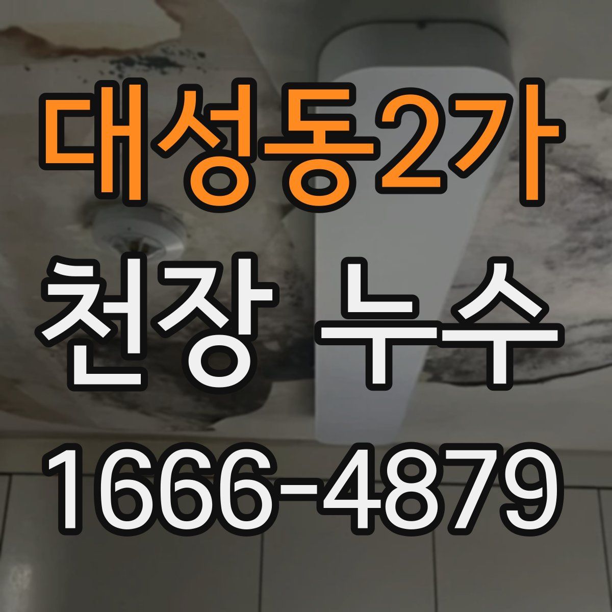 대성동2가 천장 누수