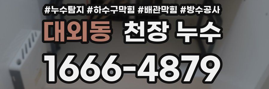 대외동 천장 누수