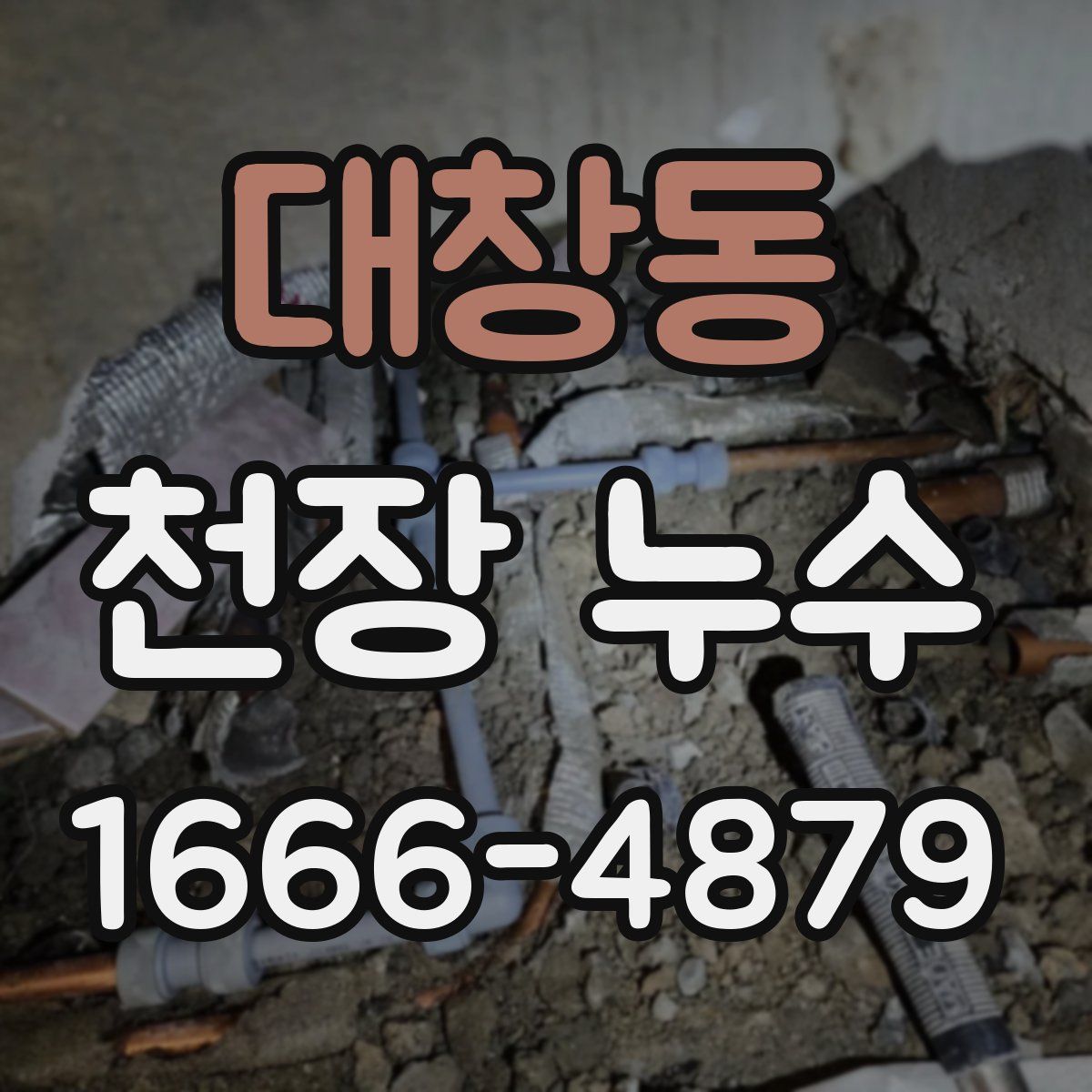 대창동 천장 누수