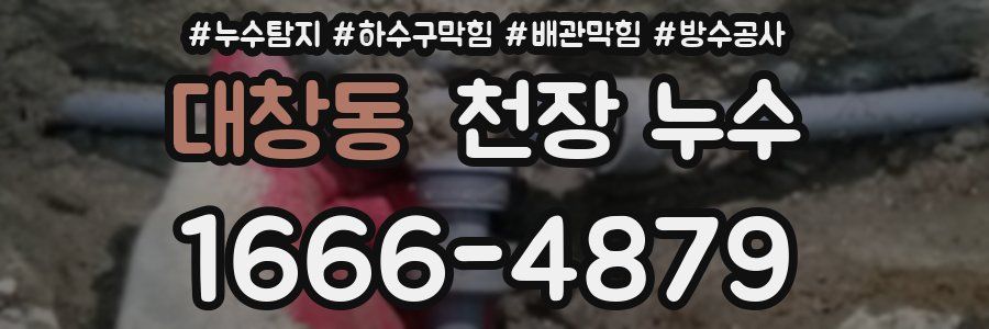 대창동 천장 누수