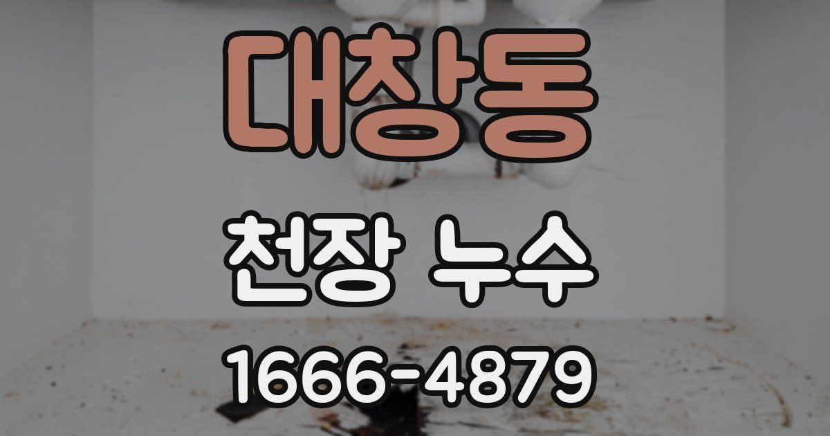 대창동 천장 누수