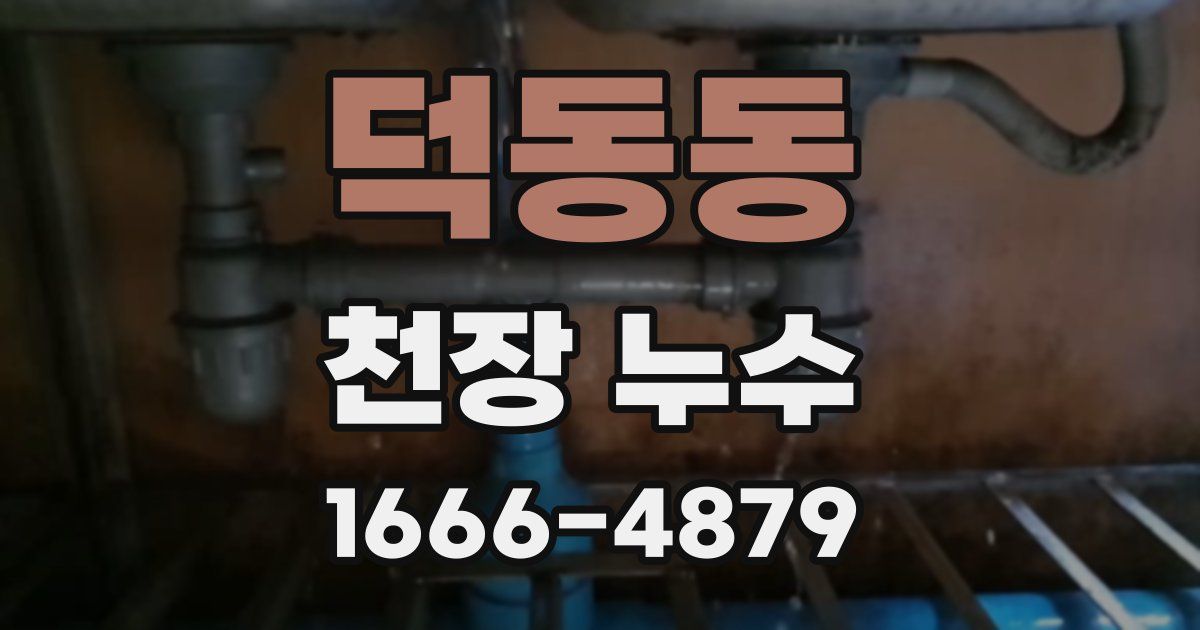 덕동동 천장 누수