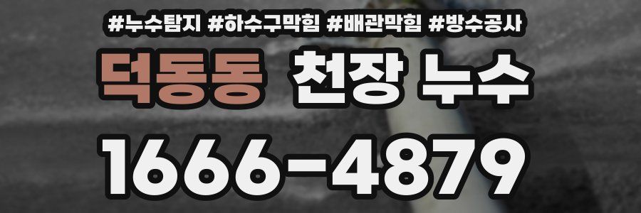 덕동동 천장 누수