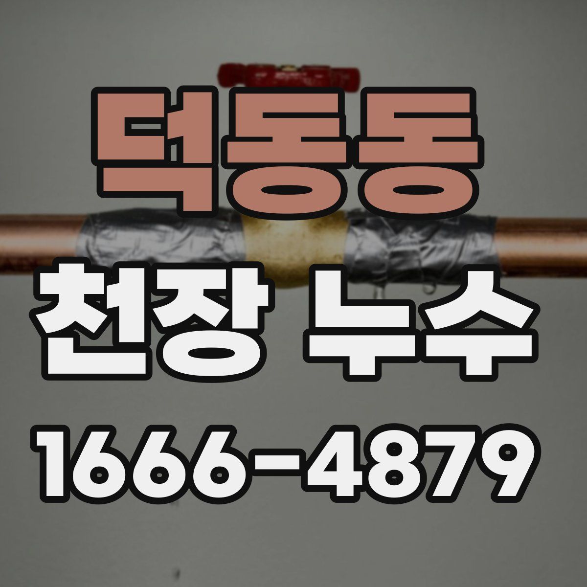 덕동동 천장 누수