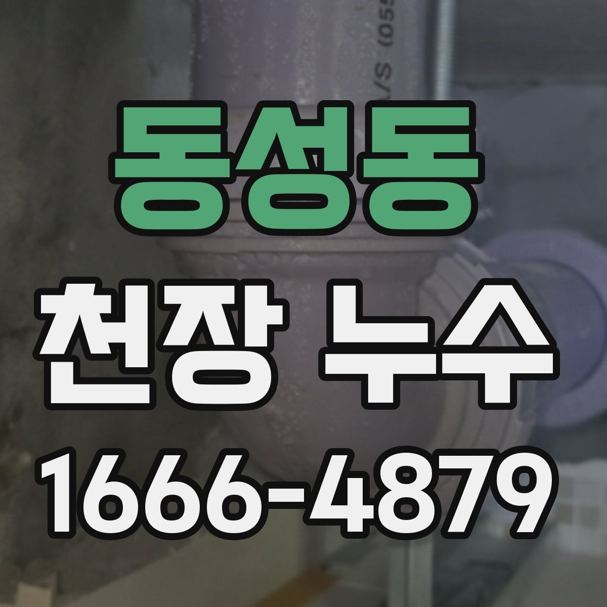 동성동 천장 누수
