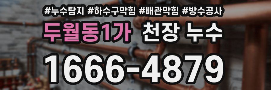 두월동1가 천장 누수