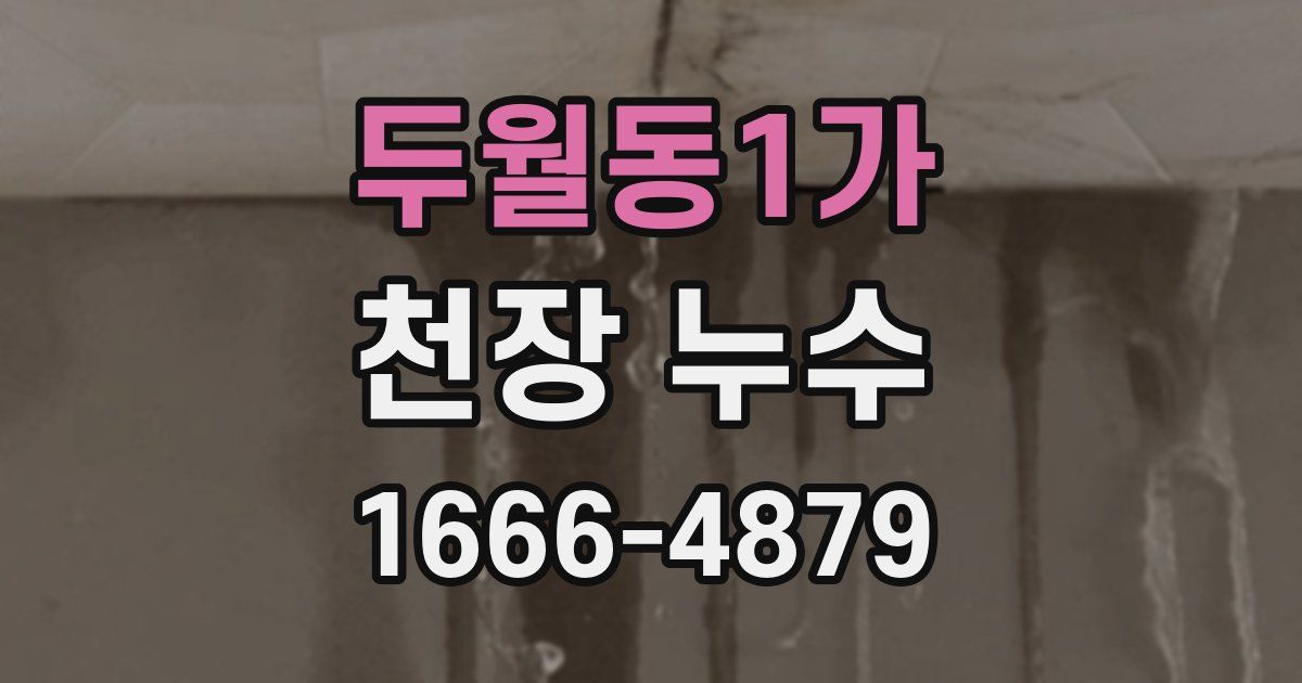 두월동1가 천장 누수