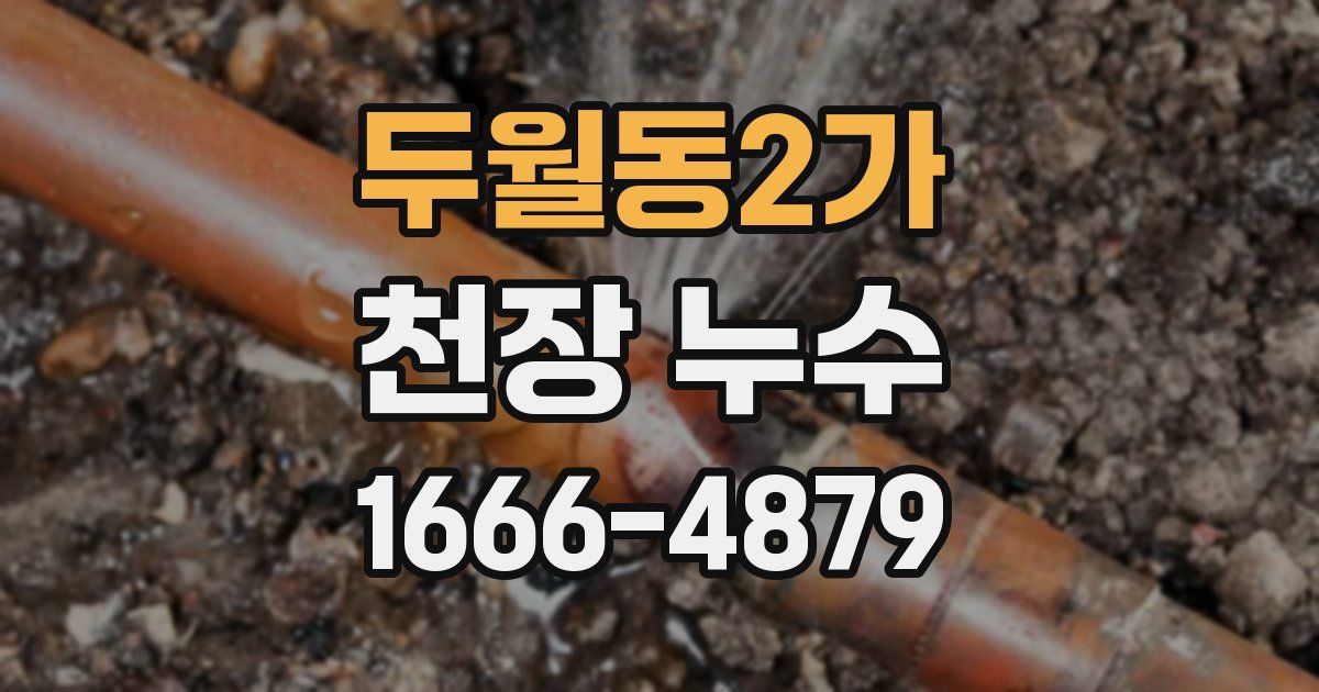 두월동2가 천장 누수