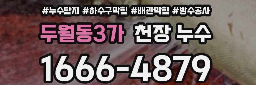 두월동3가 천장 누수