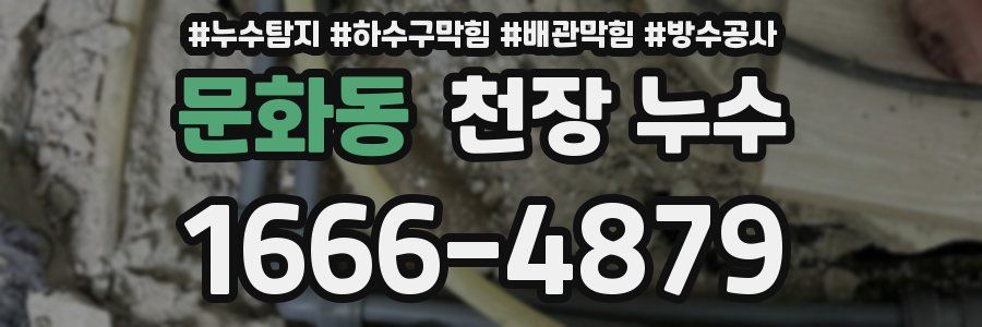 문화동 천장 누수