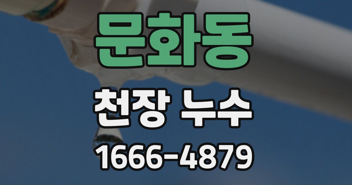 문화동 천장 누수