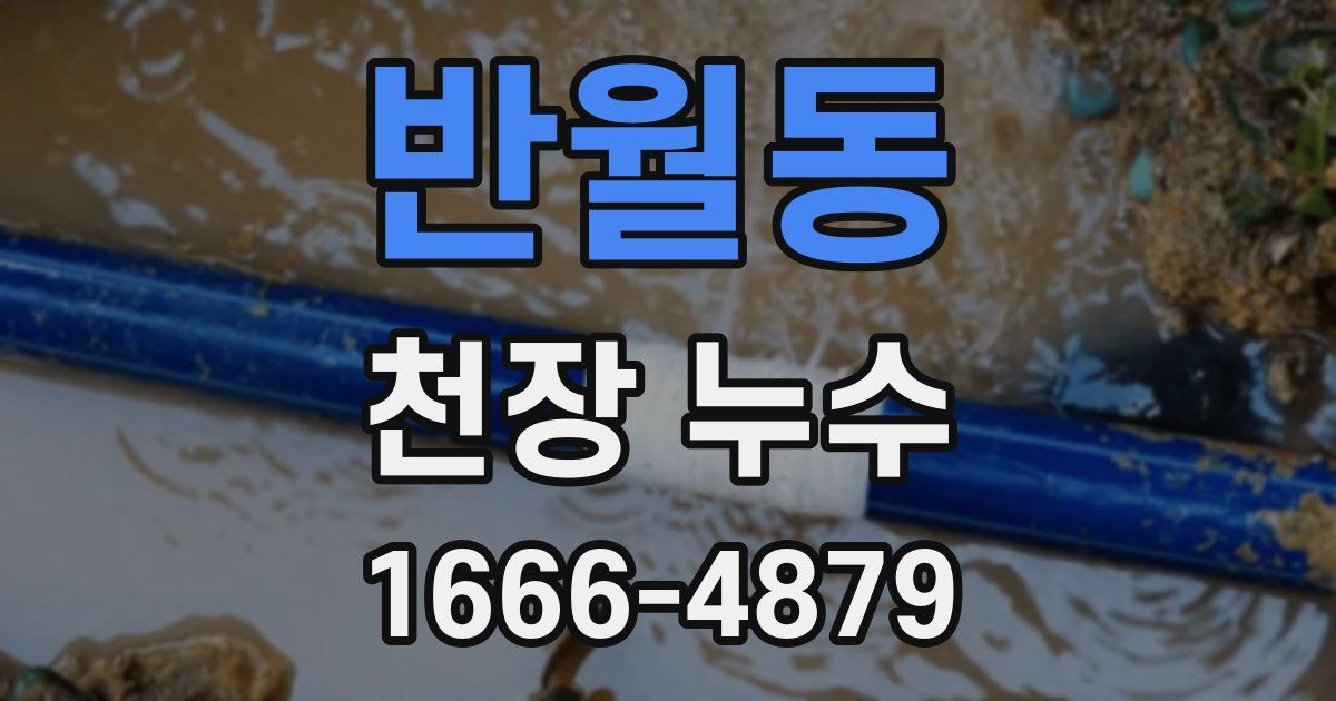 반월동 천장 누수
