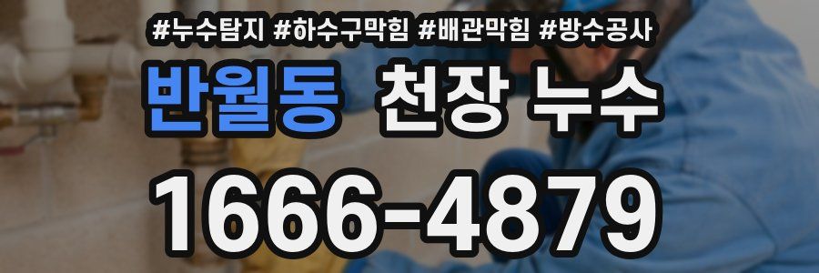 반월동 천장 누수