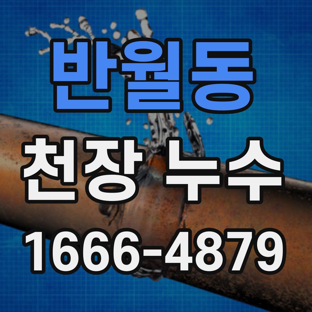 반월동 천장 누수