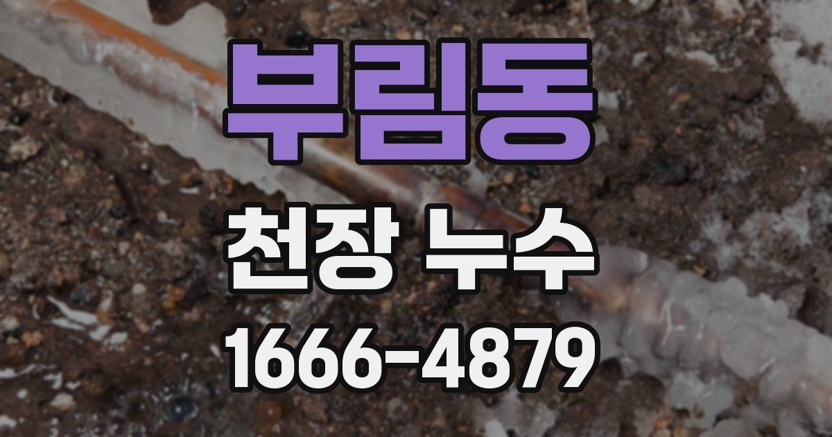 부림동 천장 누수
