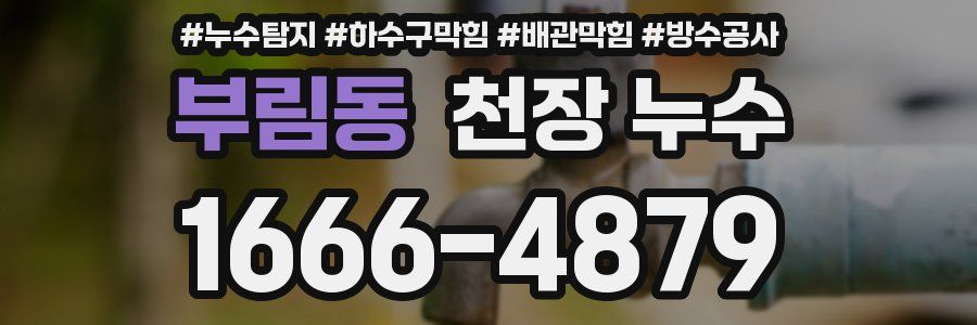 부림동 천장 누수