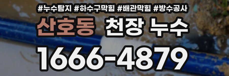 산호동 천장 누수