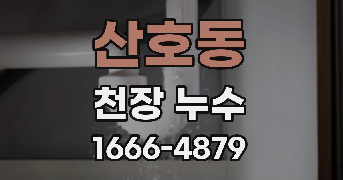 산호동 천장 누수