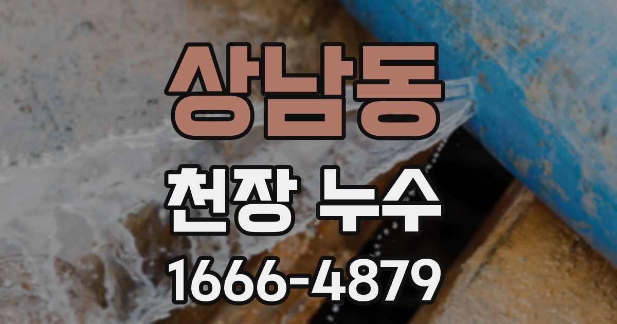 상남동 천장 누수