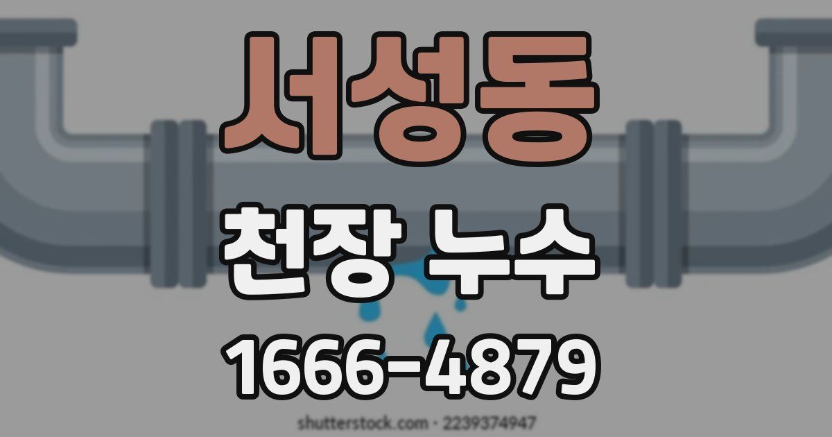 서성동 천장 누수
