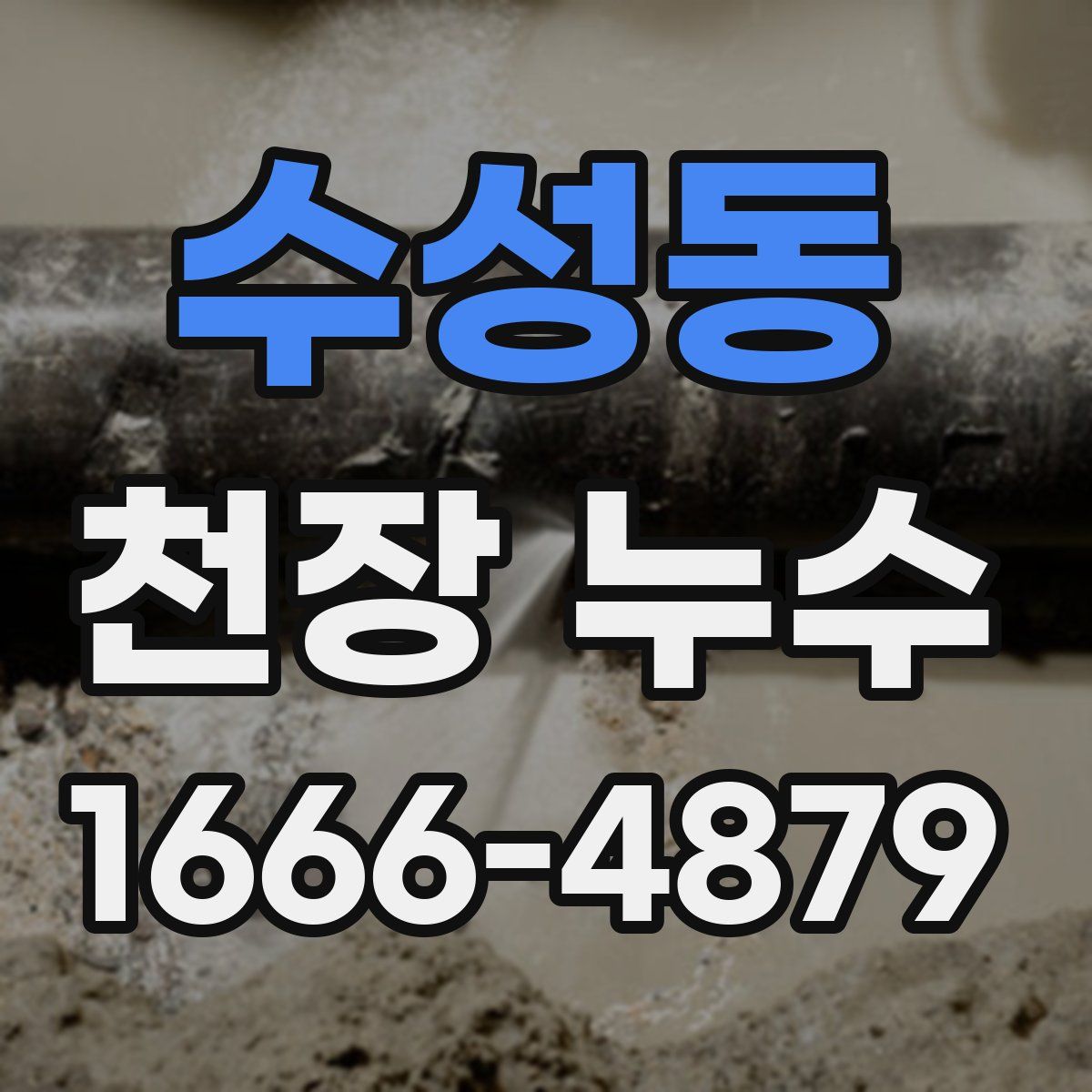 수성동 천장 누수