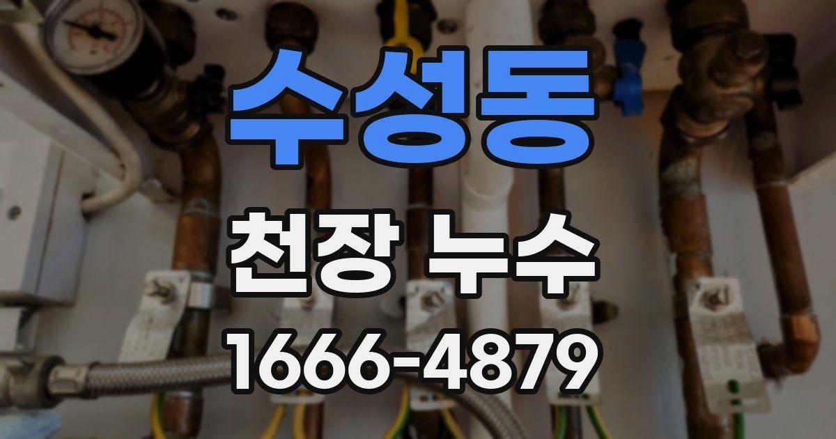 수성동 천장 누수