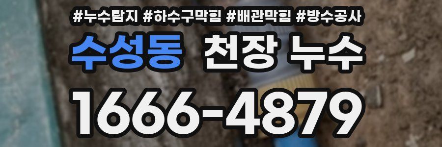 수성동 천장 누수