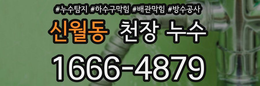 신월동 천장 누수