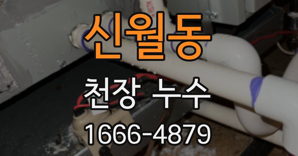 신월동 천장 누수