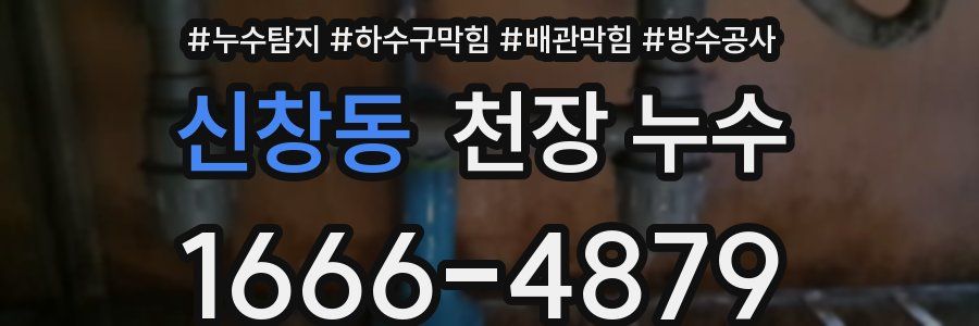 신창동 천장 누수