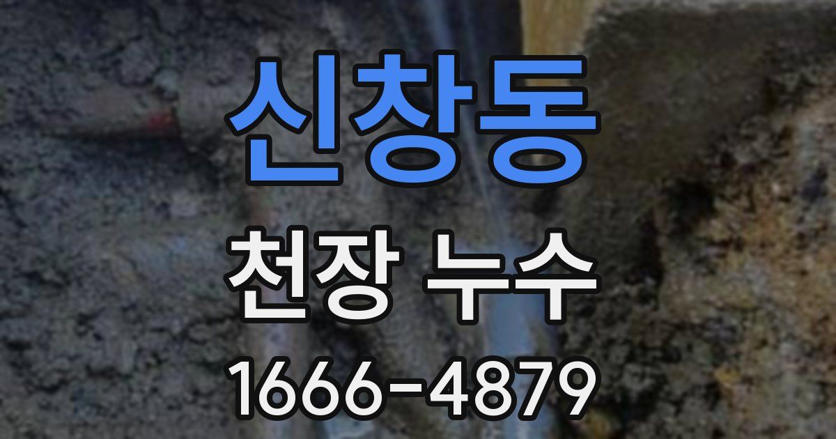 신창동 천장 누수