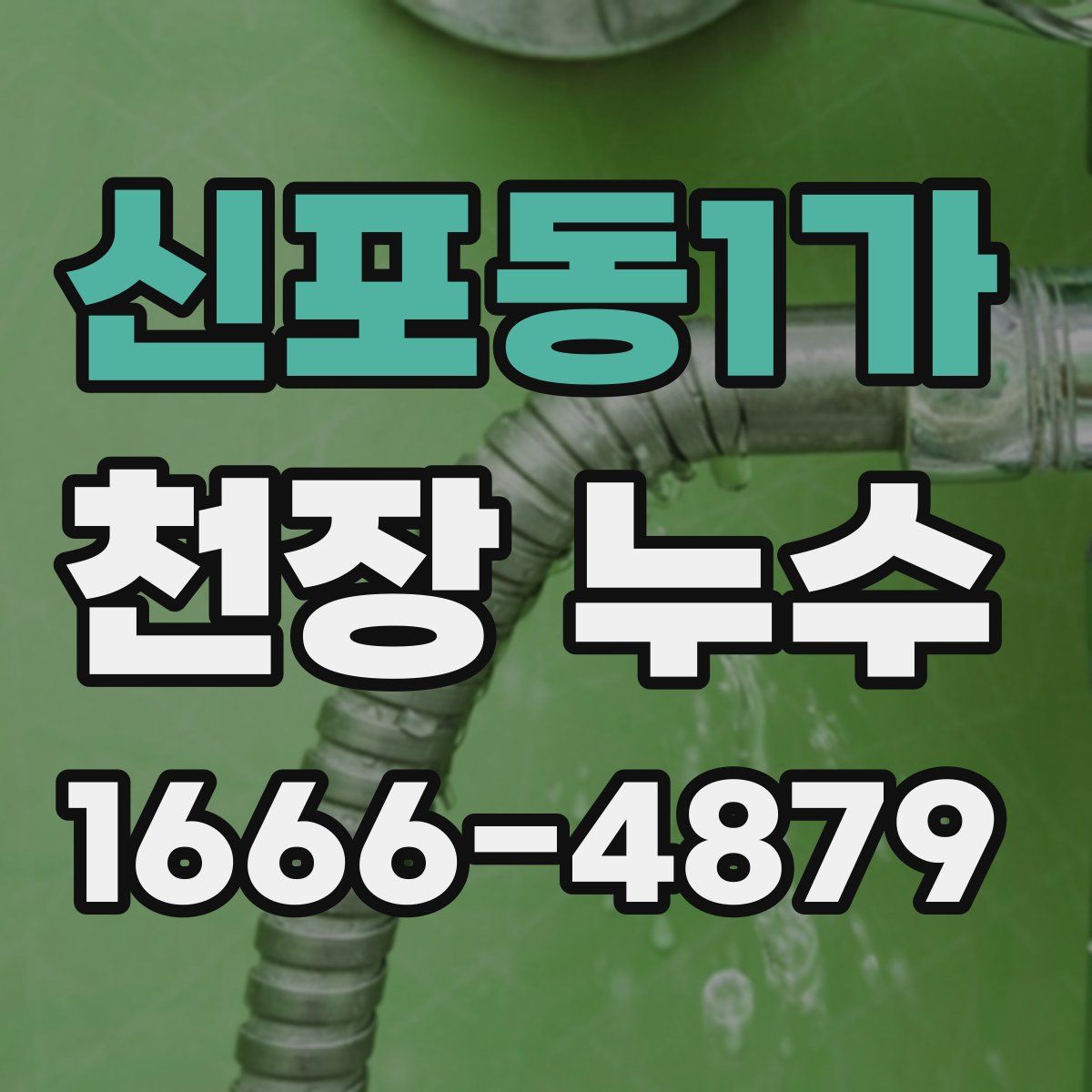 신포동1가 천장 누수