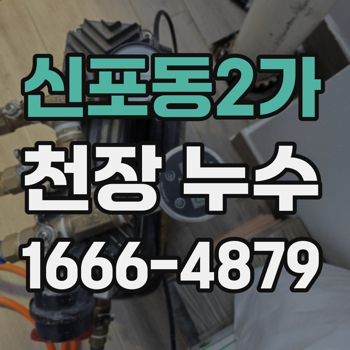 신포동2가 천장 누수