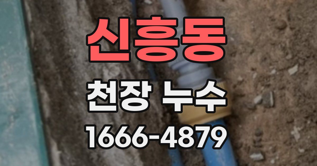 신흥동 천장 누수