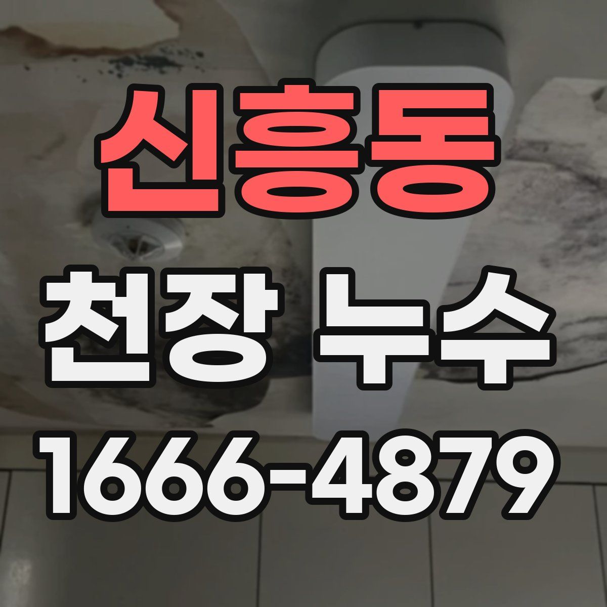 신흥동 천장 누수