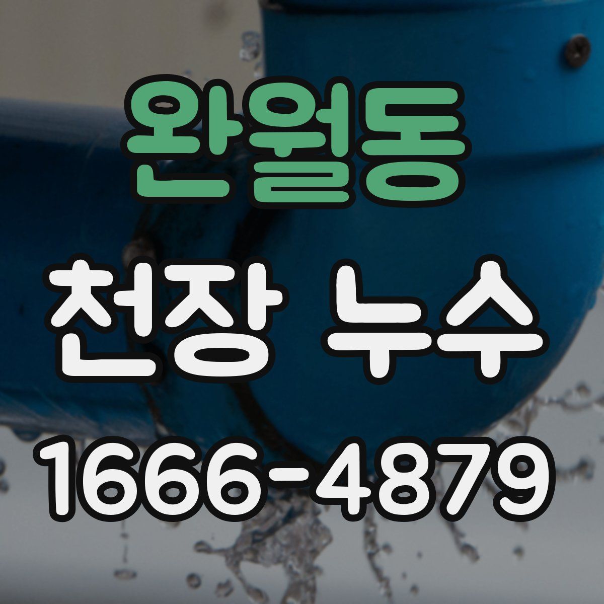 완월동 천장 누수