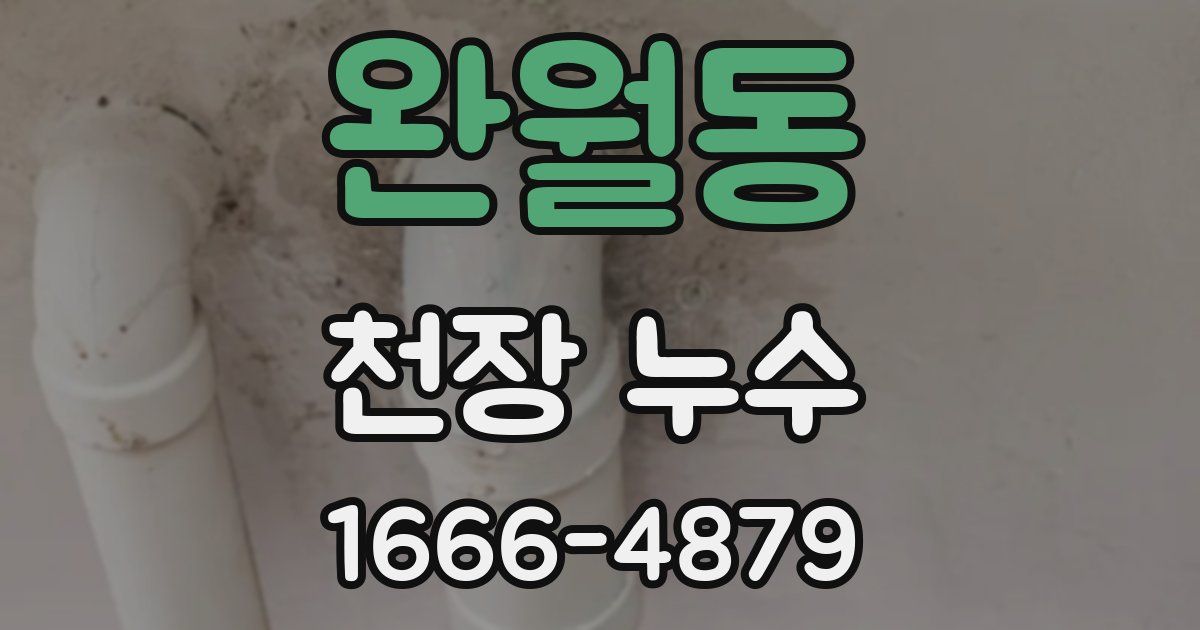 완월동 천장 누수