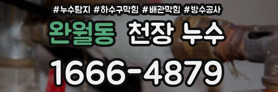 완월동 천장 누수