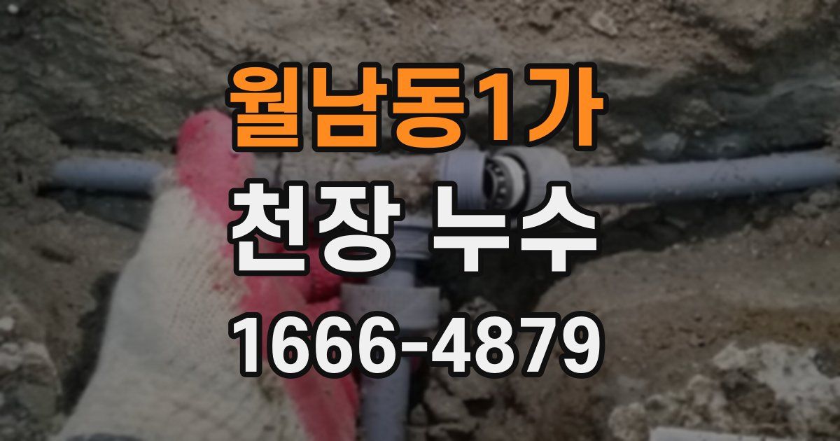 월남동1가 천장 누수