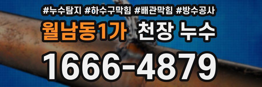 월남동1가 천장 누수