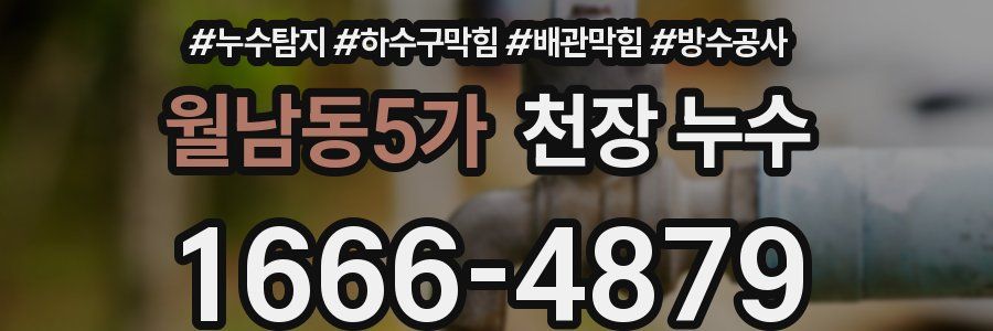 월남동5가 천장 누수