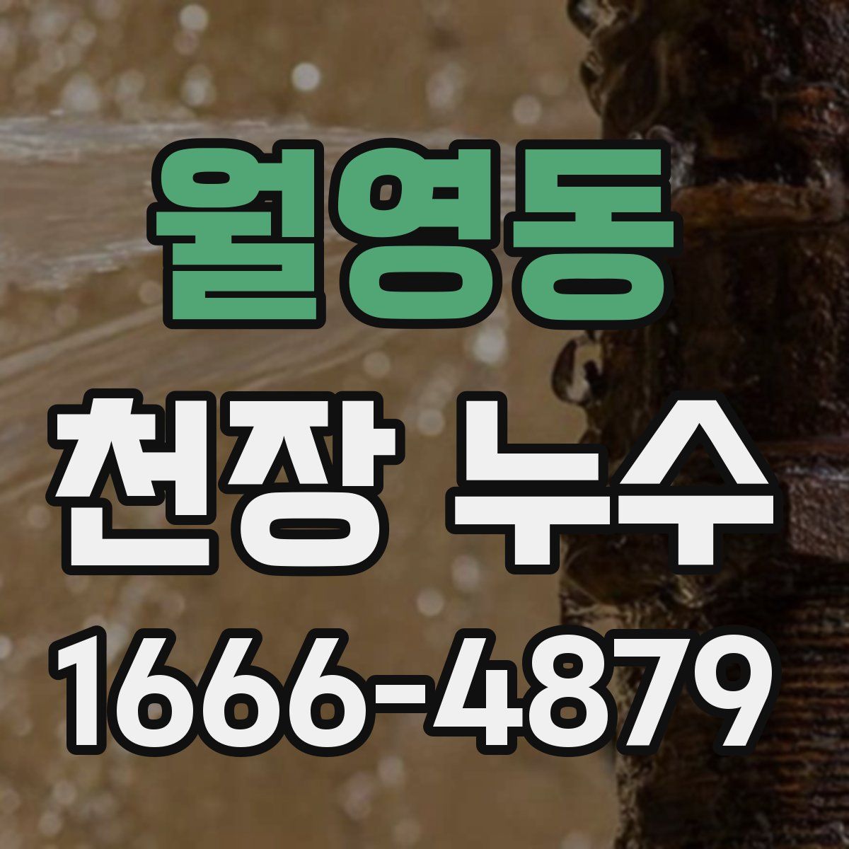 월영동 천장 누수