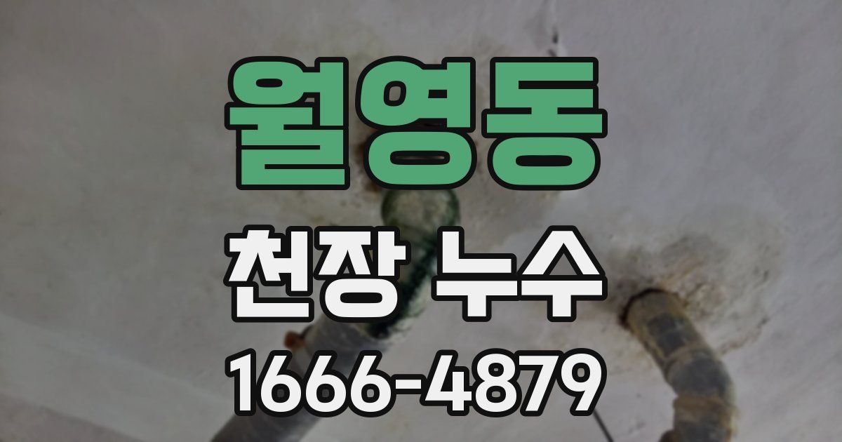 월영동 천장 누수
