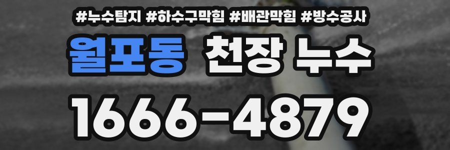 월포동 천장 누수