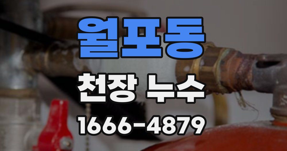 월포동 천장 누수