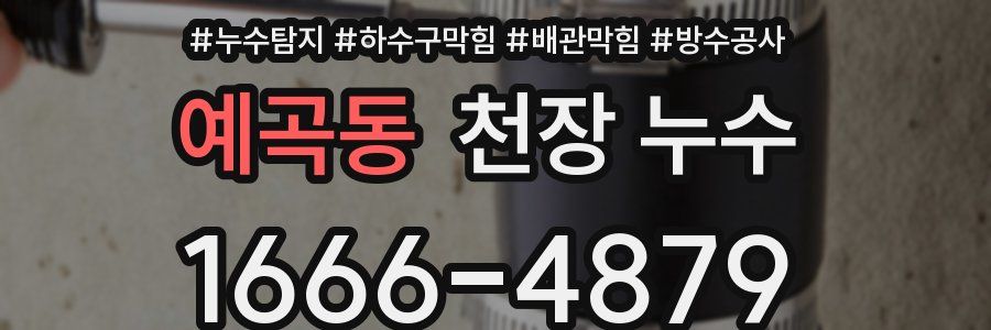 예곡동 천장 누수