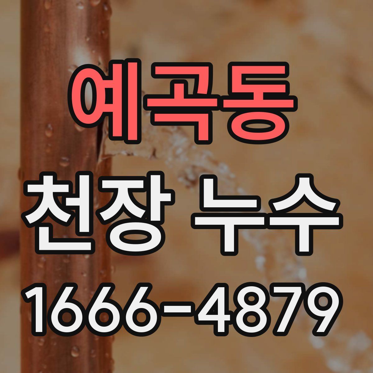예곡동 천장 누수
