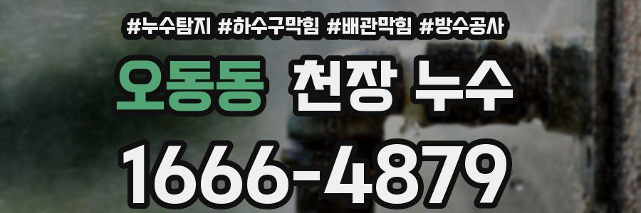오동동 천장 누수