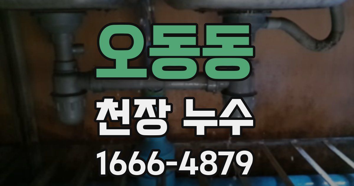 오동동 천장 누수